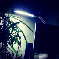 Groove AU – Пока на плечах голова