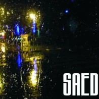 SAEDIN  – самоактуализация