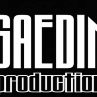SAEDIN  – тема 