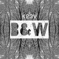 K23V – B&W