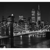 New Family – The city's too hot