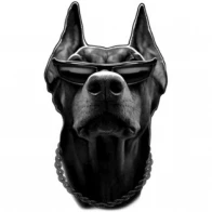 ROS RAP Prod – TheDOG
