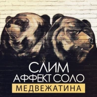 Slim (Affect Solo Band cover) – Медвежатина