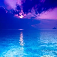 Coolday – The Summer