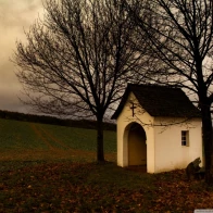 Tarhoon – Shelter