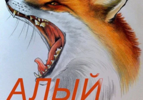 Алый Лис. Интервью Андеграундной музыке
