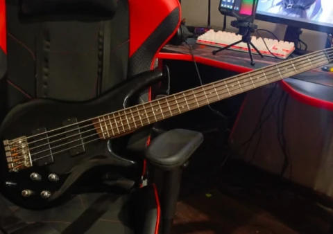 Ibanez SR355