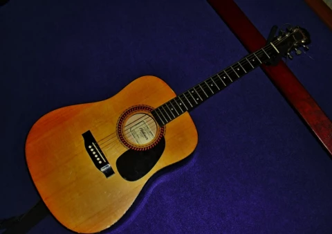 Hohner HW